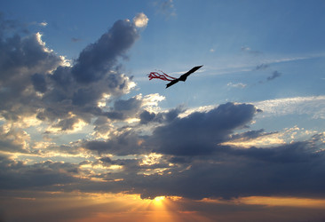 Similar image 361322