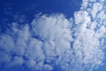 Similar image 361326