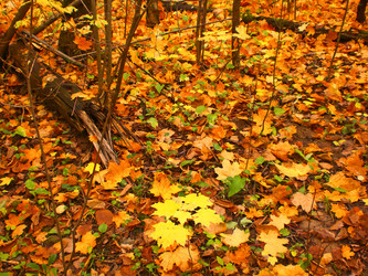 Similar image 361327