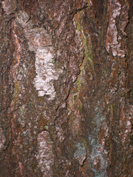 Similar image 361341