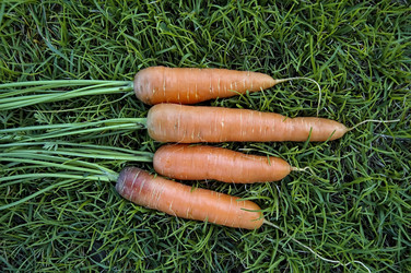 Similar image 361382