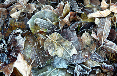 Similar image 361443