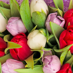 Similar image 361600