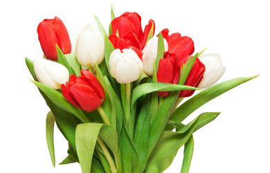 Similar image 361602