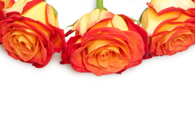 Similar image 361620