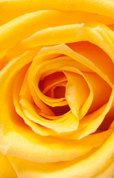 Similar image 361623