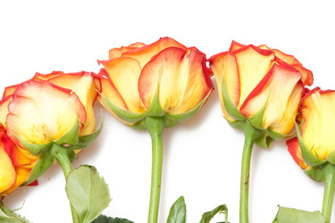 Similar image 361624