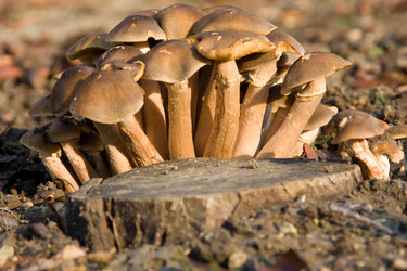 Similar image 361631