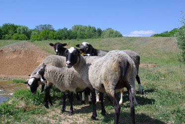 Similar image 361638