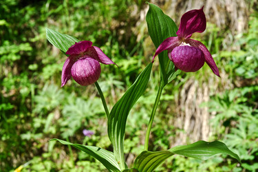 Similar image 361675