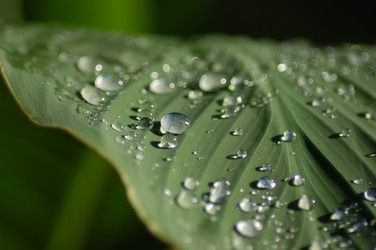 Similar image 361681