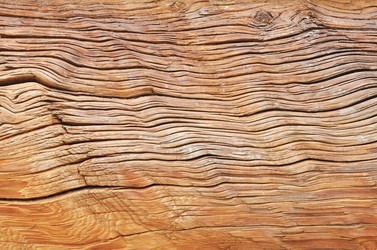 Similar image 361787