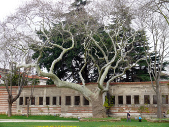 Similar image 361789