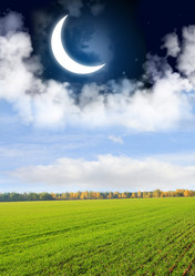 Similar image 361827