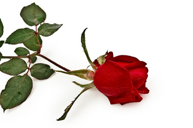 Similar image 361834