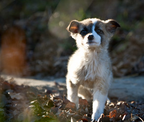 Similar image 361841