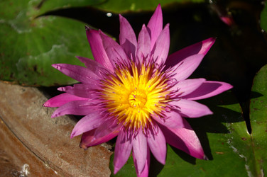 Similar image 361856