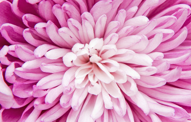 Similar image 361863