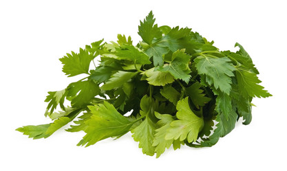 Similar image 361898