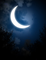 Similar image 361902