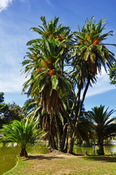 Similar image 361935