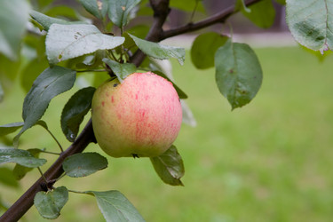 Similar image 361955