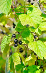 Similar image 361975