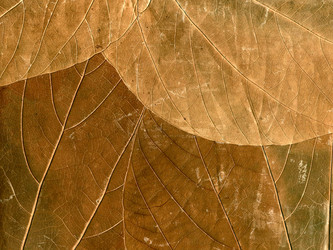 Similar image 361977