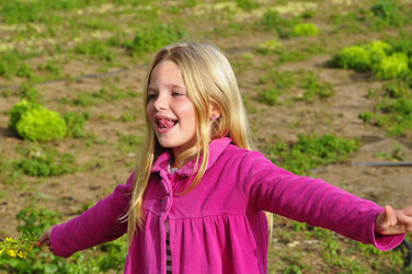 Similar image 361985