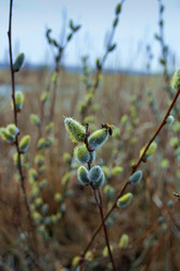 Similar image 361990