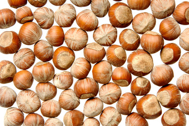 Similar image 361991