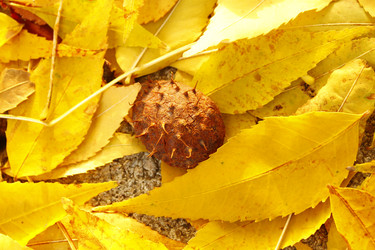 Similar image 362009