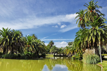 Similar image 362014