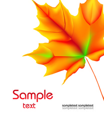 Similar image 362015