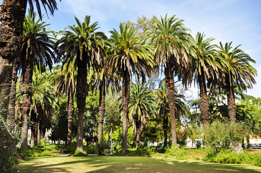 Similar image 362016