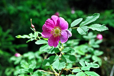 Similar image 362020