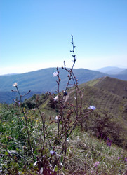 Similar image 362045