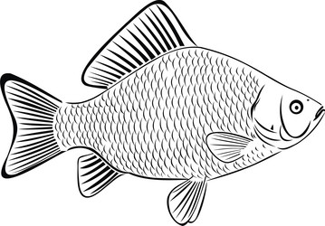 Similar image 362062