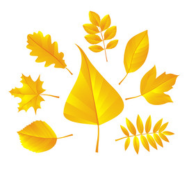 Similar image 362075