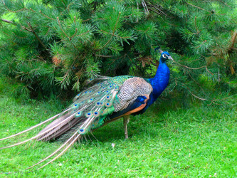 Similar image 362079