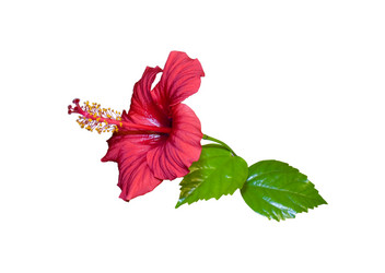 Similar image 362092