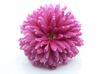 Similar image 362094