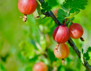 Similar image 362125