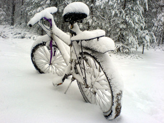 Similar image 362132