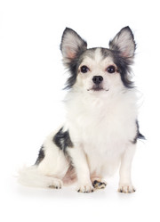 Similar image 362147