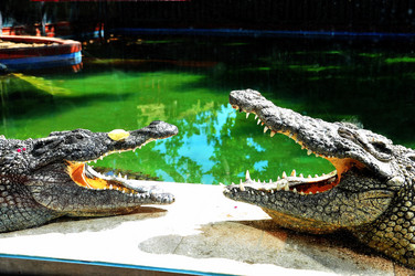 Similar image 362157