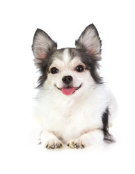 Similar image 362162