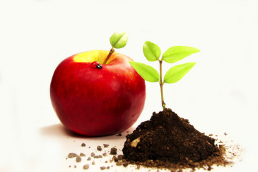 Similar image 362172