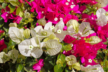 Similar image 362196