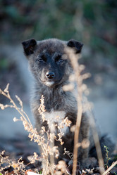 Similar image 362199